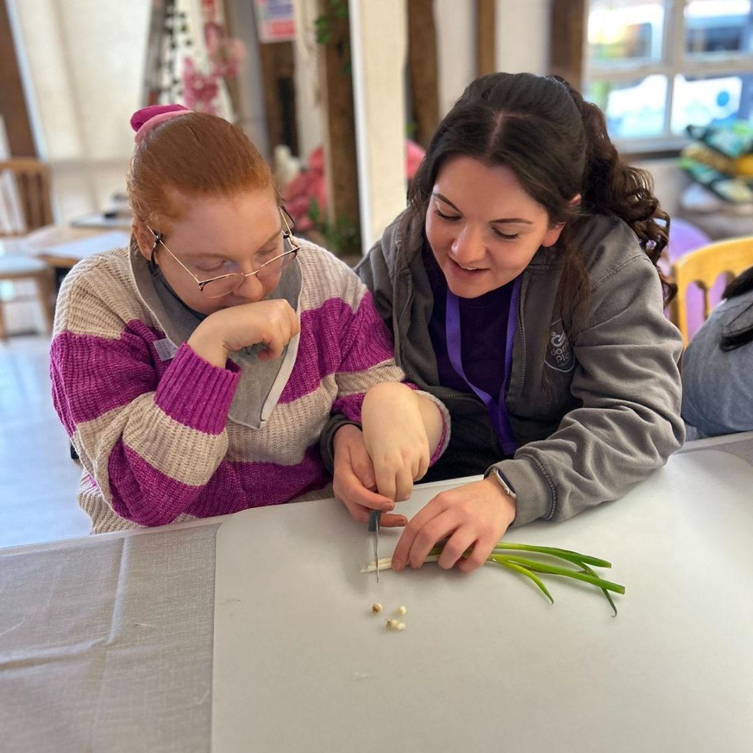 jp member making some food blog pic