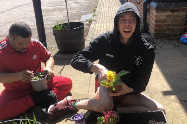 planting