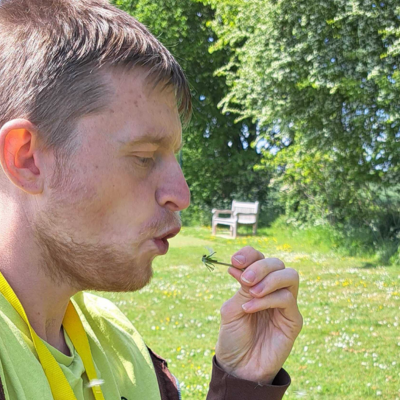 blowing a dandelion