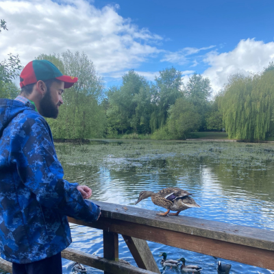 feeding the ducks 
