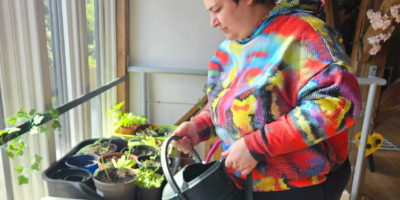 watering the allotments