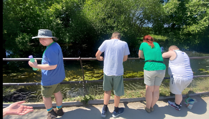 looki at a pond